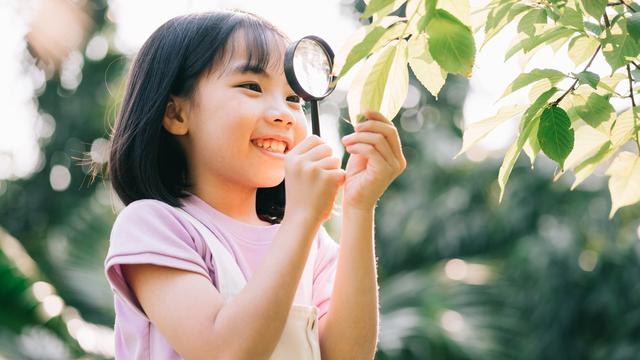 Ilustrasi anak memiliki kecerdasan naturalistik