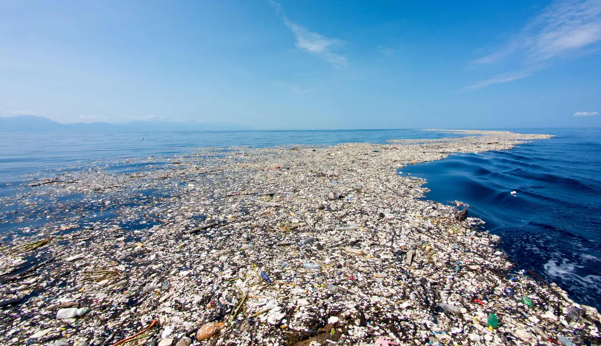 Kondisi pantai Roatan, Honduras yang dipenuhi sampah pada 7 September 2017. Fotografer bawah laut Caroline Power menemukan banyak sampah 15 mil di lepas pantai tersebut menuju Cayos Cochinos Marine Reserv. (AFP Photo/Caroline Power)