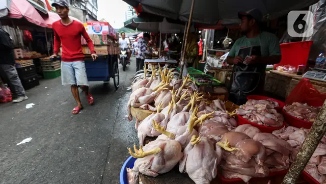 Harga Protein dan Bahan Pokok Lainnya
