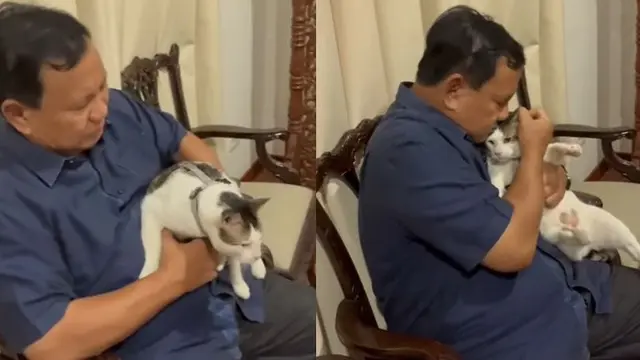 Intip Momen Prabowo Subianto Main dengan Kucing Kesayangan: Bobby Gemoy!