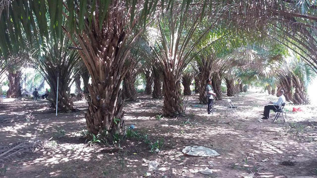 Pemerintah Indonesia tengah giat mendorong perluasan pasar ekspor produk industri agro ke negara-negara Uni Eropa. 