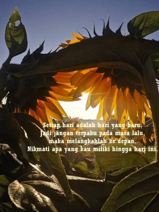 Gambar Kata-kata Keren Terbaru