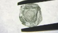 'Berlian dalam berlian' ditemukan di Siberia, menurut ilmuwan ini berasal dari mantel Bumi. (Alrosa PJSC)