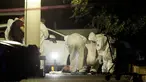  Tim forensik memeriksa tubuh seorang detektif polisi yang ditembak mati oleh penyerang tak dikenal di sebuah tempat parkir di San Pedro Garza, Monterrey, Meksiko, 9 Mei 2016. (REUTERS / Daniel Becerril)