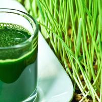 7 Menu Sarapan Cepat Untuk Turunkan Berat Badan Beauty 