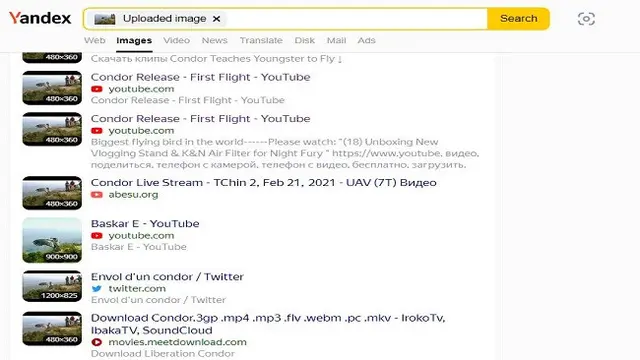 Gambar Tangkapan Layar Penelusuran Foto Menggunakan Situs Yandex.