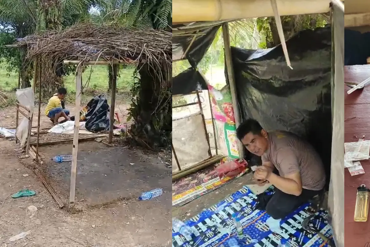Sebuah gubuk di tengah kebun sawit di Lampung Tengah dibongkar dan dibakar polisi, diduga dijadikan sebagai tempat pesta narkoba. Foto : (Istimewa).