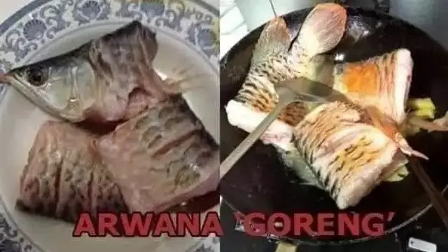 6 Menu Buka Puasa Pakai Ikan Hias Ini Nyeleneh, Absurd Maksimal
