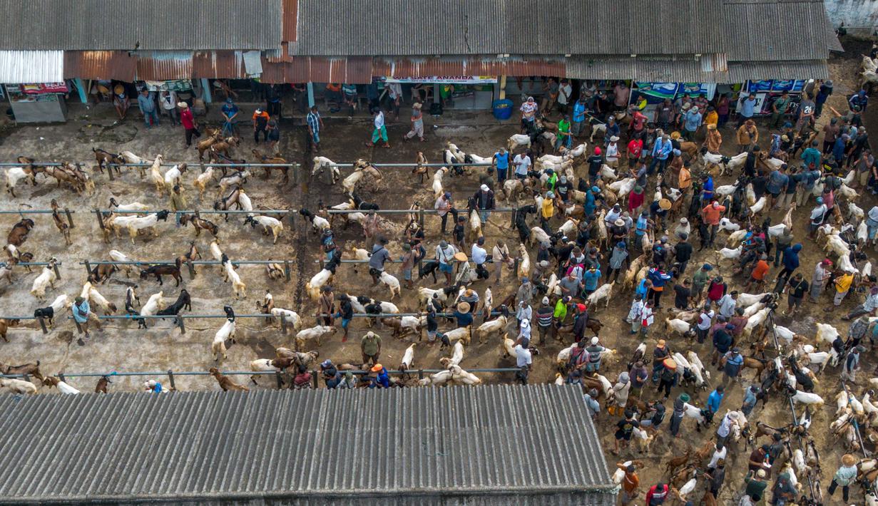Foto udara menunjukkan kambing-kambing yang dijual di pasar ternak menjelang hari raya Idul Adha, di Ambarawa, Jawa Tengah pada Sabtu 16 Mei 2026. (DEVI RAHMAN/AFP)