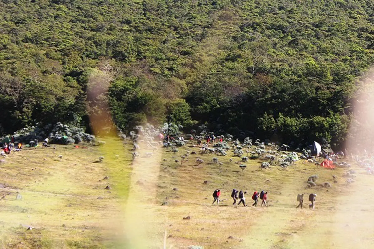 Taman Nasional Gunung Gede - Pangrango