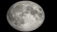 Ilustrasi gerhana bulan total (Screenshot of Twitter/@NASAMoon)