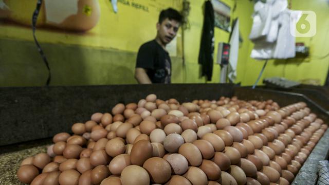 FOTO: Jelang Tahun Baru, Harga Telur Ayam Alami Kenaikan