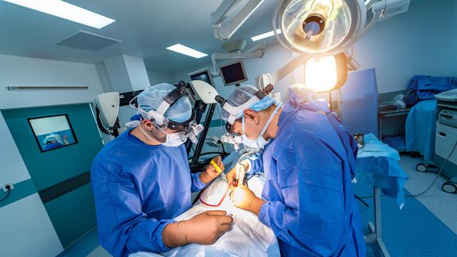 Mengenal Operasi Bariatrik yang Dijalani Melly Goeslaw Demi Turunkan Berat Badan