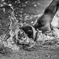 Simak cerita inspiratifnya yuk!