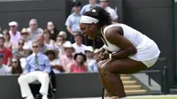 Serena Wiilliams ( REUTERS/Toby Melville)