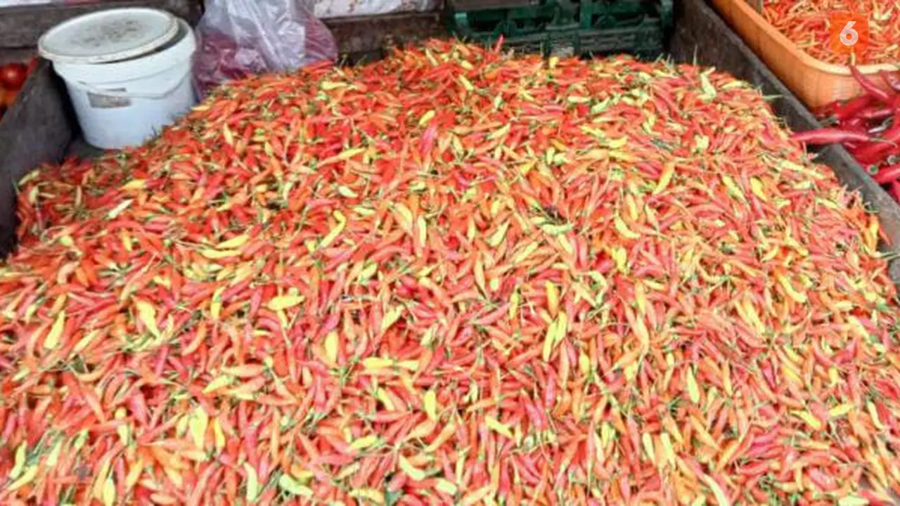 Harga Cabai
