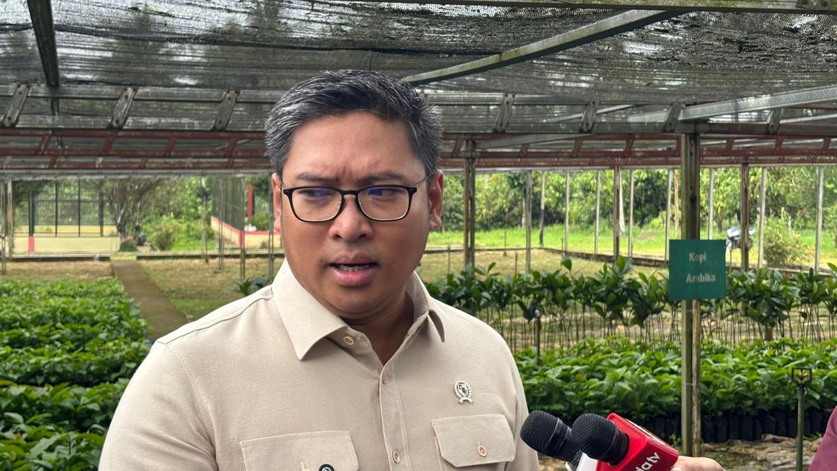 Kementan Bidik Dana Peremajaan dari Pungutan Ekspor Kelapa