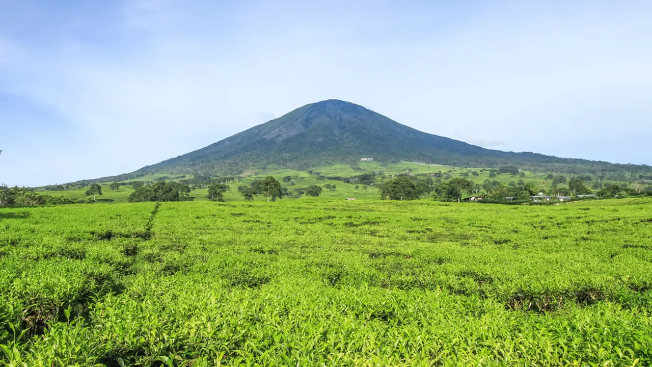 Gunung Dempo.