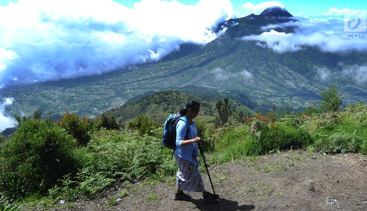Seorang pendaki melintasi pemandangan Gunung Merapi dari atas Gunung Merbabu di Selo, Boyolali, Jawa Tengah, Sabtu (2/2/2019). Aktivitas Gunung Merapi dalam beberapa hari terakhir masih tinggi dan masih berada di level 2 atau waspada (Merdeka/Arie Basuki)