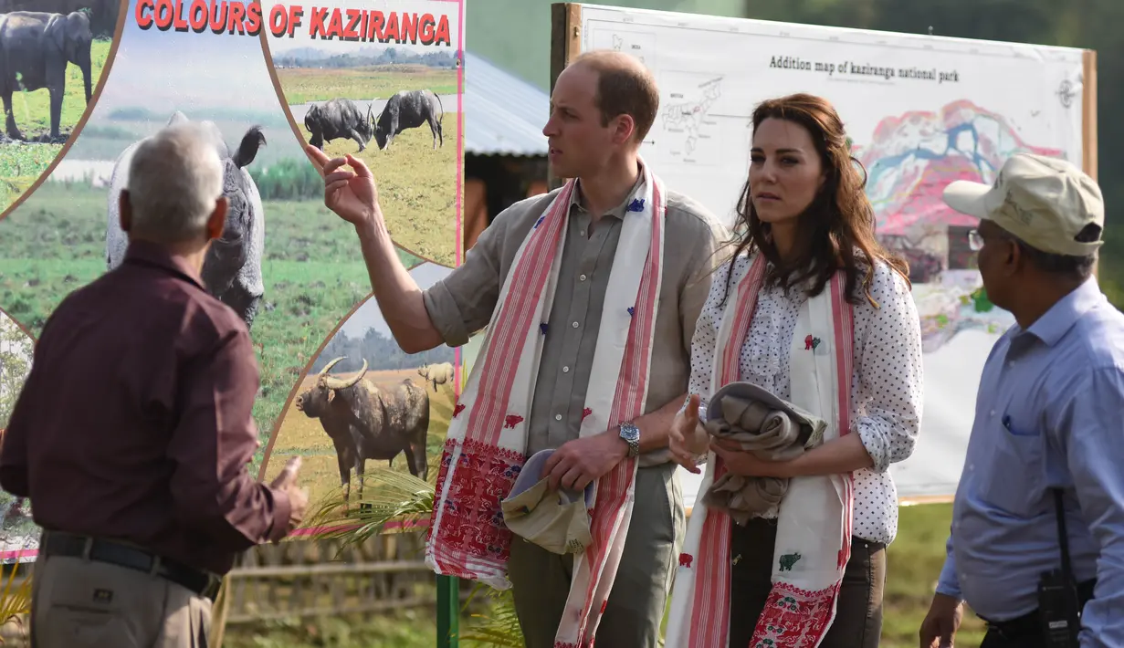 Pangeran William berdialog dengan pemandu wisata saat berkunjung ke Kaziranga National Park, Assam, India, Rabu (13/4/2016). William dan Kate akan melakukan tur selama seminggu di India dan Bhutan. (AFP Photo/Biju Boro)