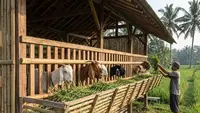 6 Model Kandang Kambing Minim Air yang Cocok untuk Halaman Sempit dan Mudah Dibersihkan