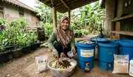 6 Cara Membuat Pupuk Organik Sisa Dapur untuk Menyuburkan Tanaman