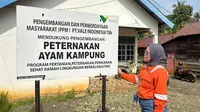 Ayam Alope Berkokok, Nanas Bertumbuh: Cerita Penghidupan Baru Masyarakat Luwu Timur