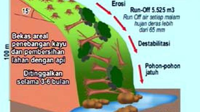 Dampak Penebangan Hutan Terhadap Lingkungan Bali