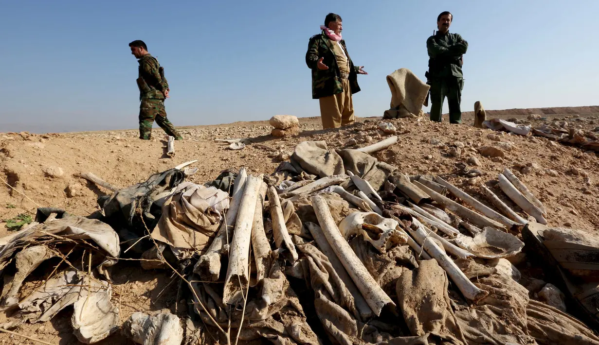 Tulang belulang terlihat di sebuah kuburan massal yang diduga lokasi makam anggota Yazidi Irak di pinggiran kota Sinjar, 30 November 2015. Pasukan Kurdi menemukan kuburan ini usai berhasil merebut kembali kota Irak dari militan ISIS. (Reuters/Ari Jalal)