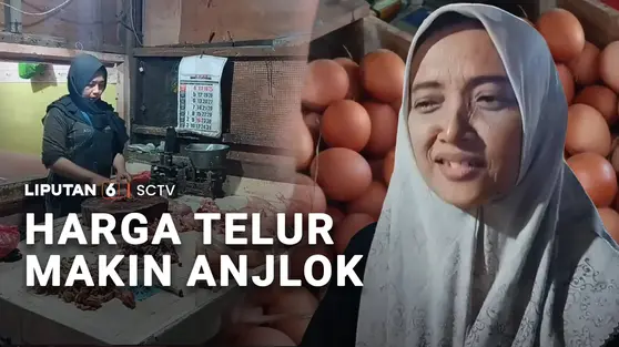 Harga Telur Makin Anjlok