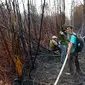 Pendinginan lahan bekas terbakar oleh BBKSDA Riau di Cagar Biosfer Giam Siak Kecil. (Liputan6.com/M Syukur)