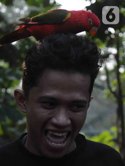 Pengunjung bisa berfoto dengan satwa burung yang ada di TMII Jagat Satwa Nusantara, Jakarta, Selasa (15/8/2023). (merdeka.com/imam buhori)