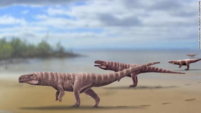 Ilustrasi ini menggambarkan seperti apa rupa buaya prasejarah. (Anthony Romilio/University of Queensland)