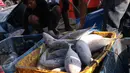 Aktivitas bongkar muat ikan di Pelabuhan Muara Baru, Jakarta, Selasa (22/9/2015). Nelayan mengeluh mahalnya BBM dan Peraturan Menteri No. 2/2015 tentang larangan penggunaan pukat hela dan pukat tarik membuat nelayan merugi. (Liputan6.com/Angga Yuniar) 