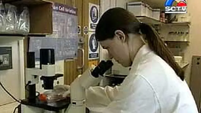 250504aLnLeukimia.jpg