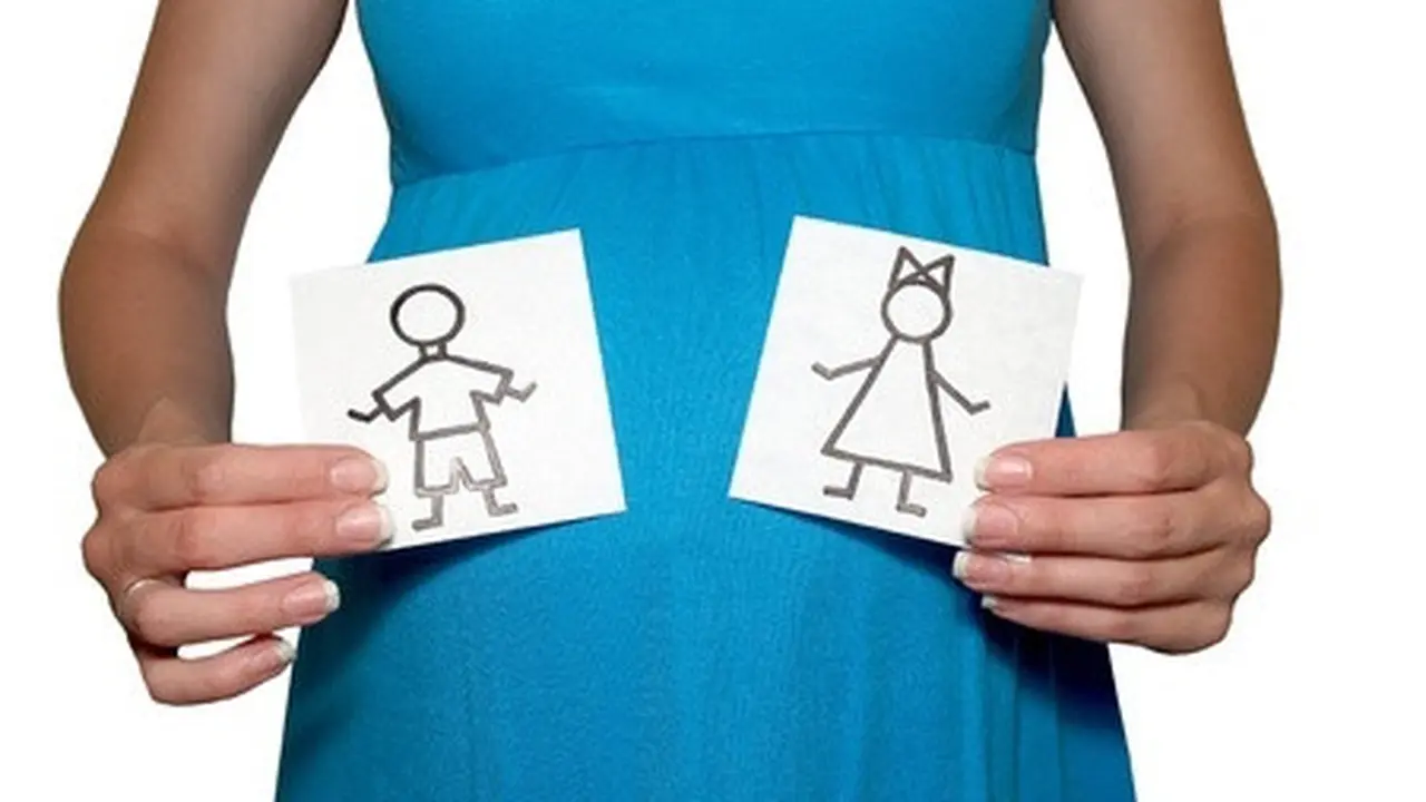Perencanaan Hamil dan Ingin Anak Kembar