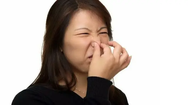 Foto: copyrigt en.rocketnews24.com