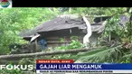 Tidak ada korban jiwa karena penghuni rumah telah mengungsi ke tempat yang lebih aman.