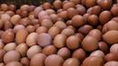 Telur ayam dijual di Pasar Kelapa Dua, Kabupaten Tangerang, Banten, Rabu (29/12/2021). Meroketnya harga telur ayam di sejumlah wilayah jelang pergantian tahun dipicu oleh harga pakan yang tinggi. (Liputan6.com/Angga Yuniar)