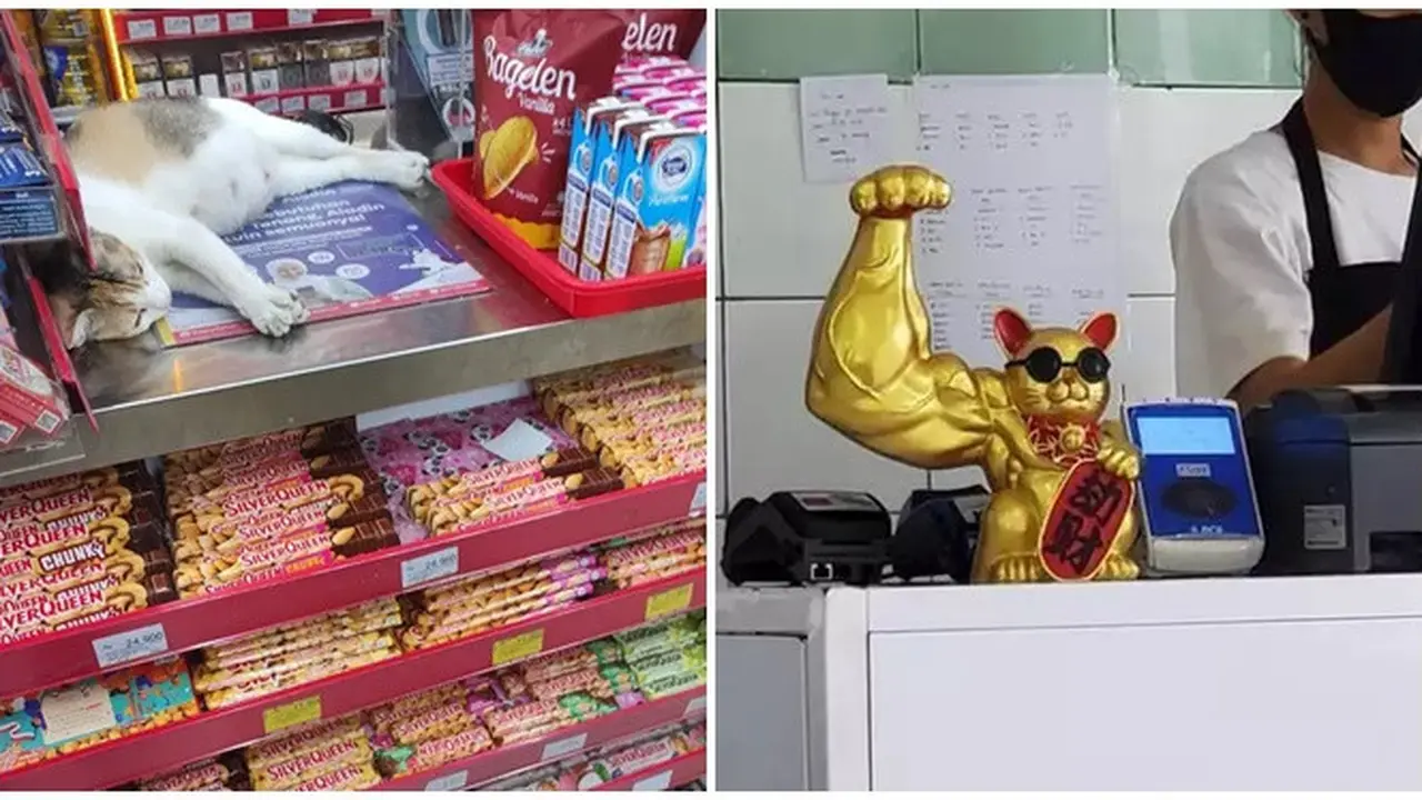 6 Potret Barang Nyeleneh di Meja Kasir Ini Bikin Salah Fokus ketika Mau Bayar