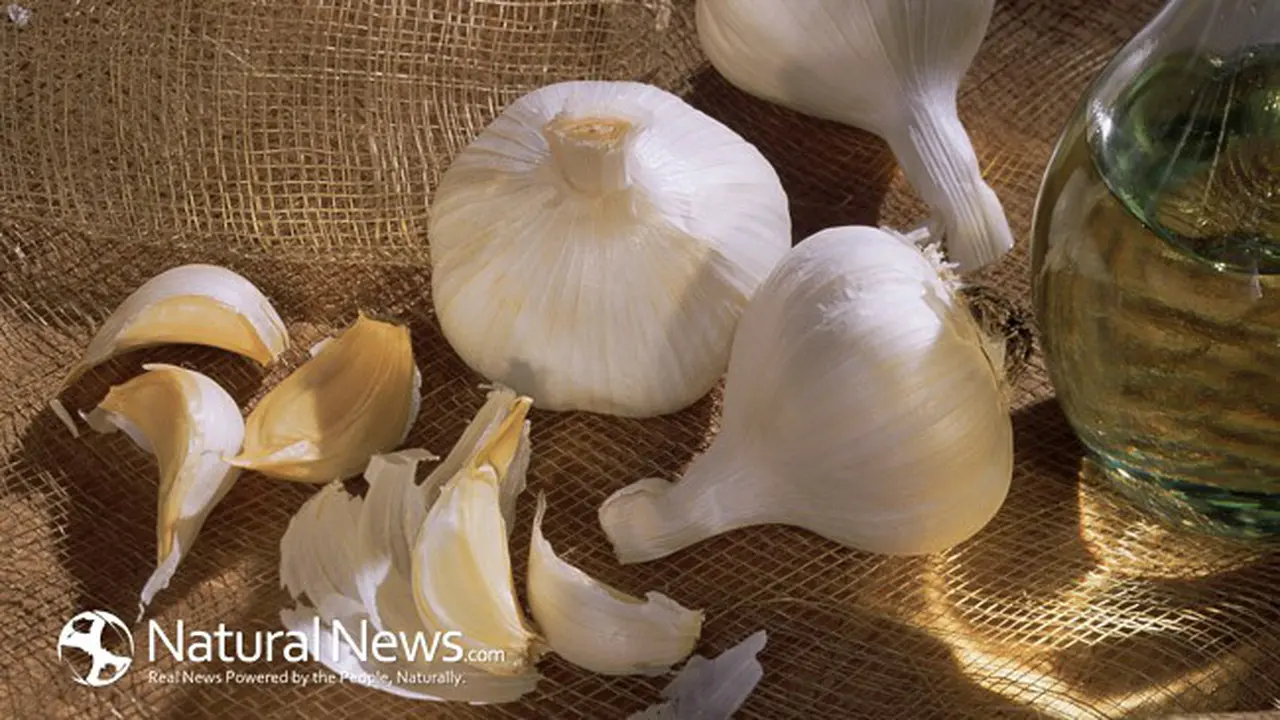 Bawang Putih Lebih Ampuh Sembukan Penyakit Ketimbang Antibiotik