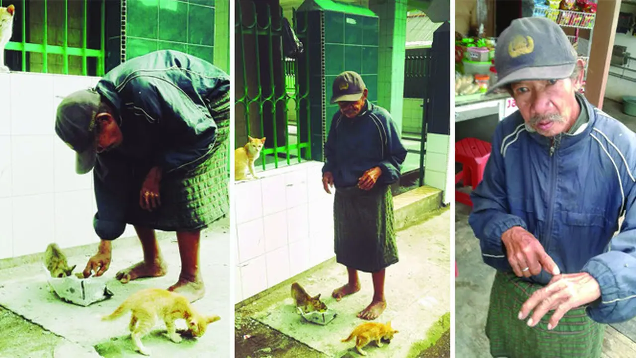 Kisah Bujang Lapuk Jadikan Kucing Kampung Sebagai Teman Hidup