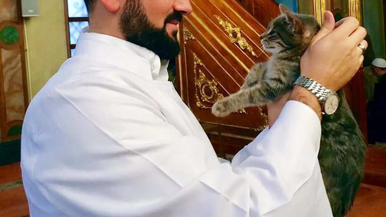 Di Masjid Ini, Kamu Bisa Ibadah Bareng Kucing-kucing Liar!