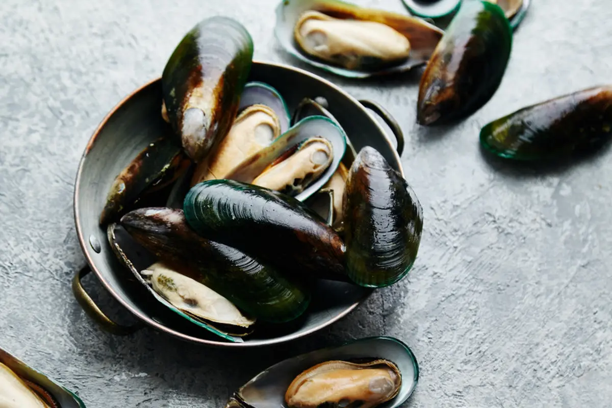 kerang