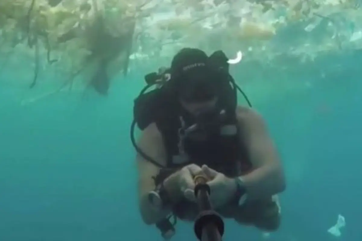[Bintang] Ini Video Viral Penyelam Berenang di Lautan Plastik yang Ada di Bali, Sedih Banget