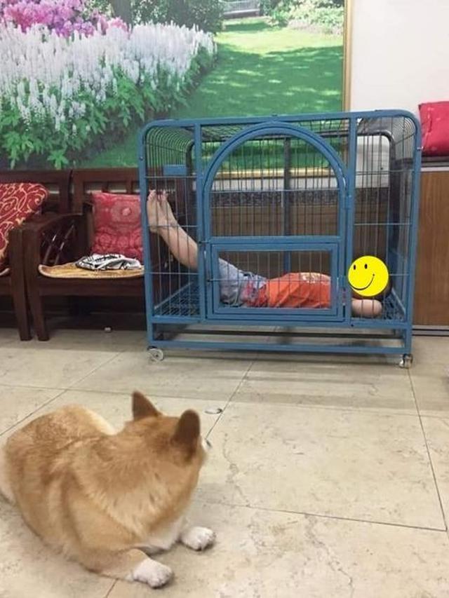 6 Tingkah Absurd Orang Masuk Kandang, Enggak Habis Pikir