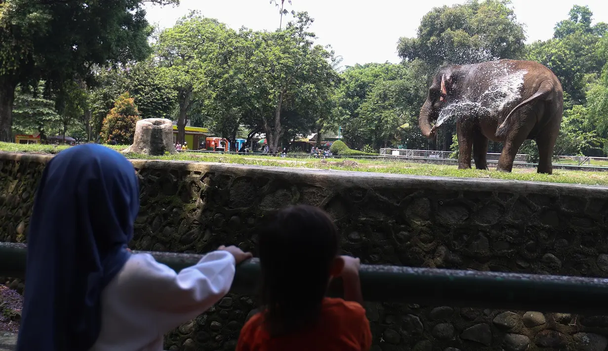 Guna mengantisipasi lonjakan pengunjung saat libur panjang akhir pekan, pengelola Taman Margasatwa Ragunan, Jakarta, sudah menambah pintu masuk. (Kapanlagi.com/Budy Santoso)