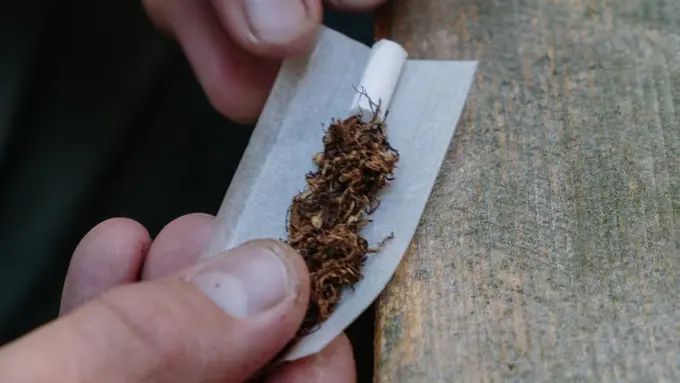 Ilustrasi tembakau rokok (pexels)