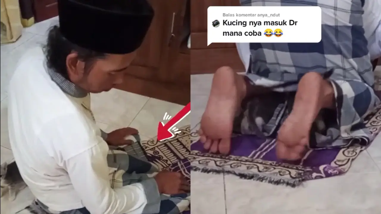 Ulah kucing masuk sajadah