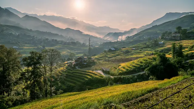Sapa